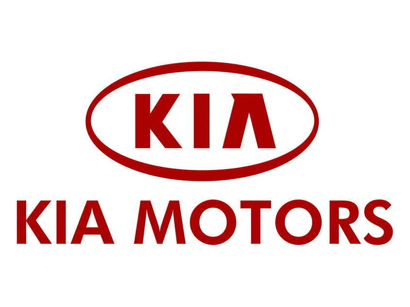 Dynamo's Kia