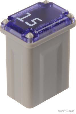 Mcase zekering 15A dicht
