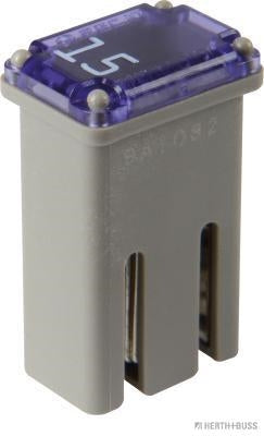 Mcase zekering 15A met sleuf 