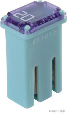 Mcase zekering 20A met sleuf 