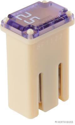Mcase zekering 25a met sleuf 
