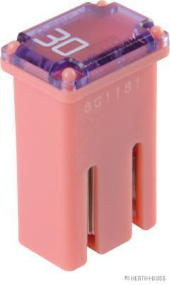 Mcase zekering 30A met sleuf 
