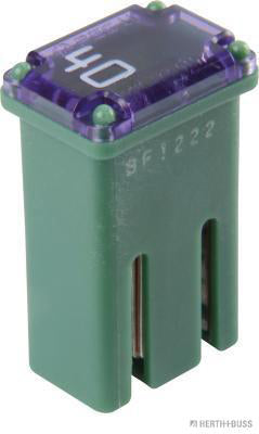 Mcase zekering 40A met sleuf 
