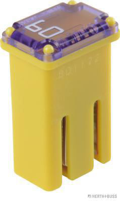 Mcase zekering 60A met sleuf 