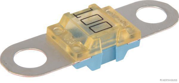Zekering midi met 6MM montage gaten  