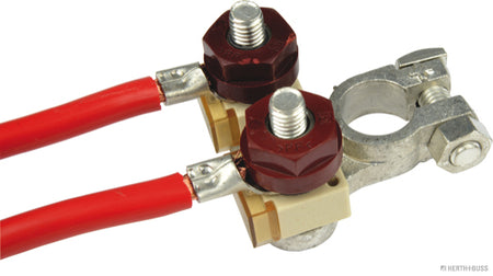 Accu klem + voor 2 compact zekeringen 