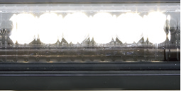 Whelen Takedown LED units (2) tbv Justice