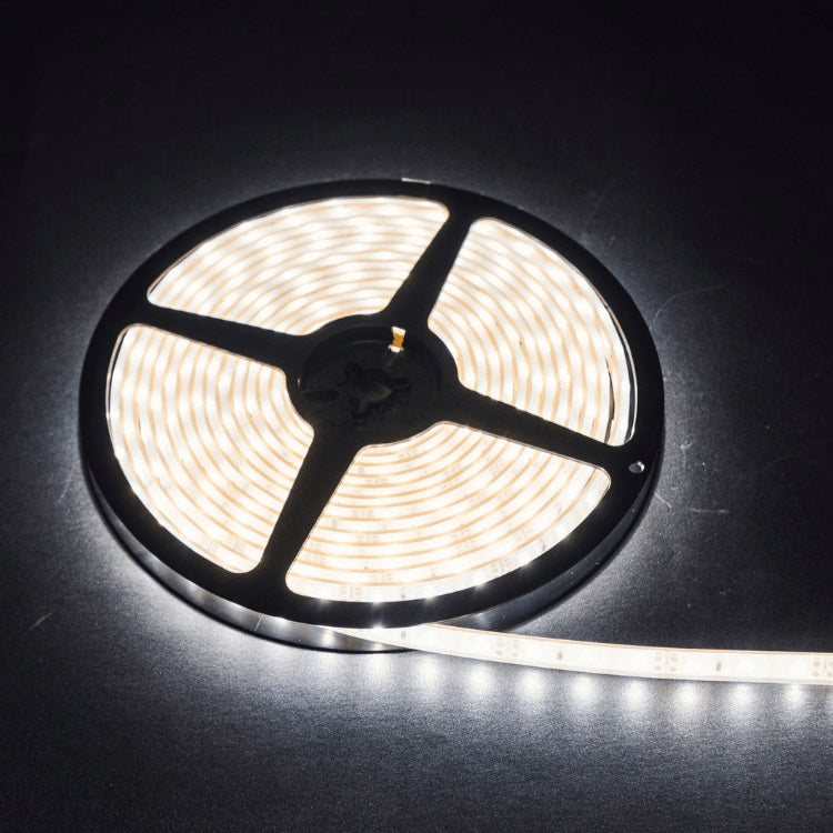 Led strip op rol 5meter 6000K 12V of 24V 