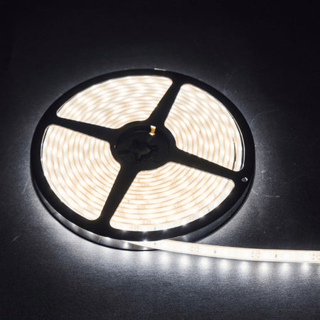 Led strip op rol 5meter 6000K 12V of 24V 