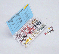 Steekzekeringen Mini assortiment 